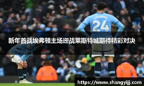 新年首战埃弗顿主场迎战莱斯特城期待精彩对决